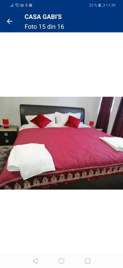 Casa Gabi'S Hotel Orsova Ngoại thất bức ảnh